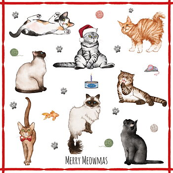 Matservetter Merry Meowmass 20-pack