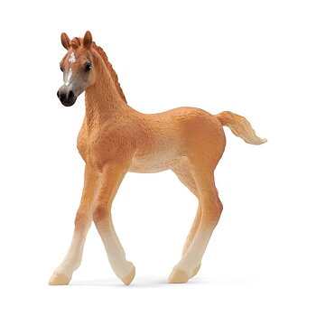 Arabhäst, föl - Schleich 13984
