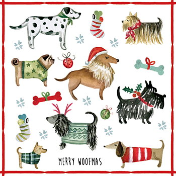 Matservetter Merry Woofmas 20-pack