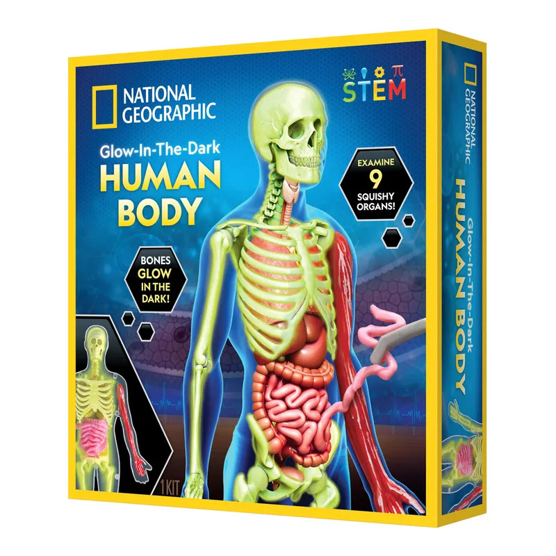 National Geographic Human Body Science Kit