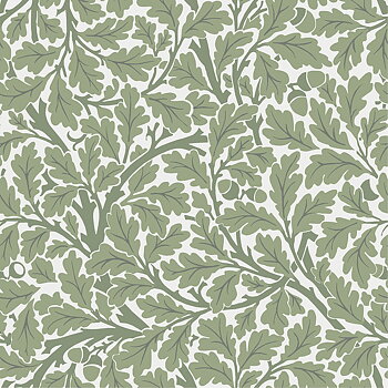Oak Tree - 82028