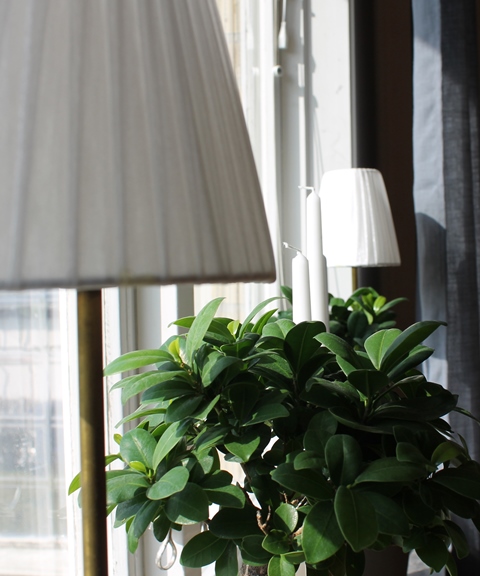 Lampskärm Organza Vit 22cm - 2