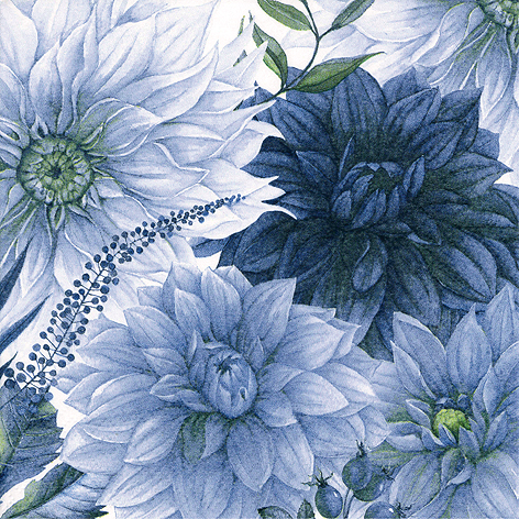 Matservetter Dahlia Blå 20-pack