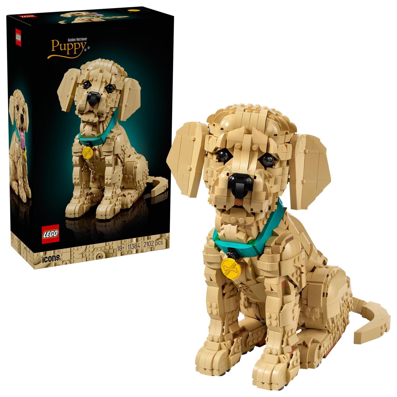 Golden Retriever-valp - 11384