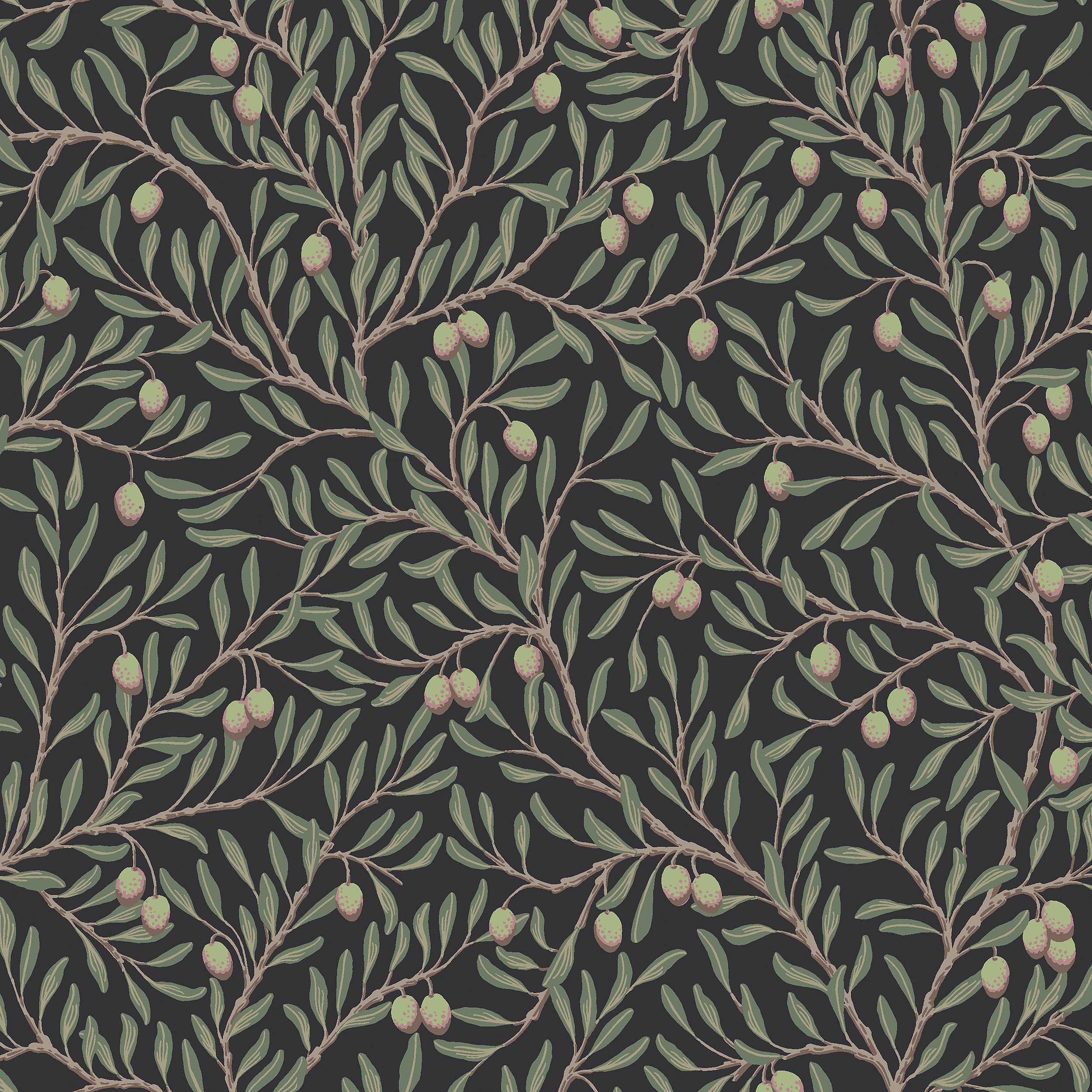 Olivträd - 5706
