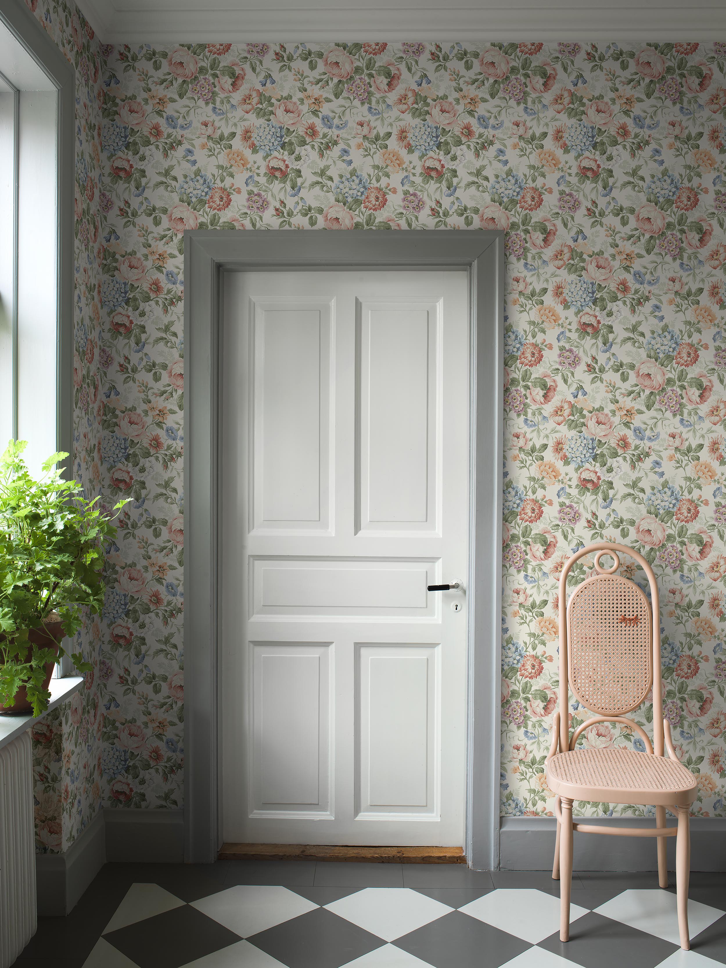 Hortensia - 5728 - 3