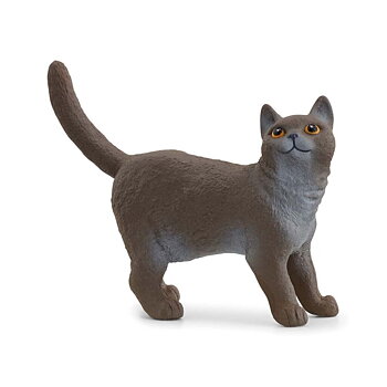 Katt, Brittiskt korthår - Schleich 13973