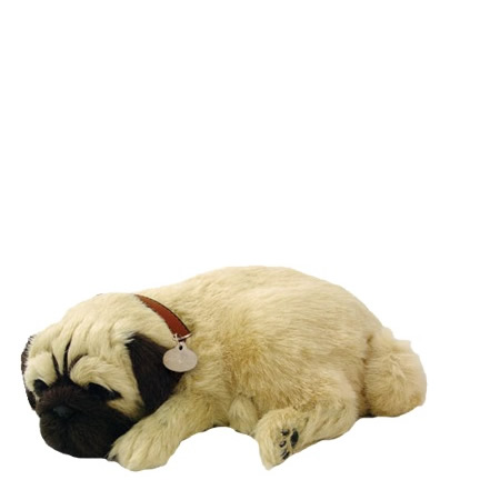 Hund Mops Perfectpetzzz