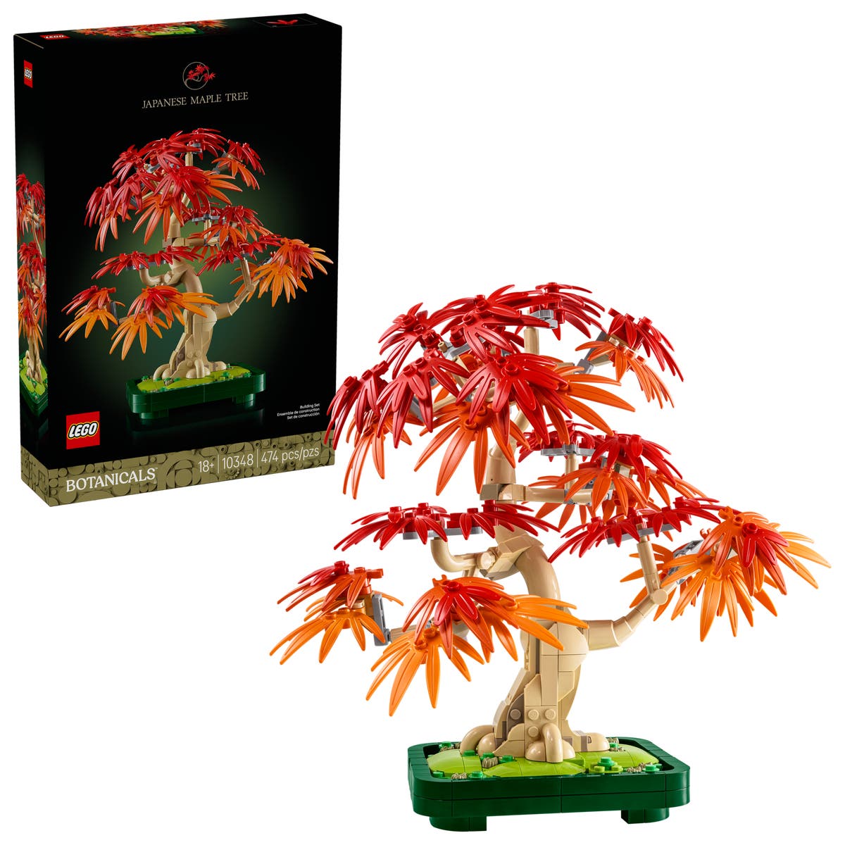 Bonsaiträd: Japansk Lönn - 10348