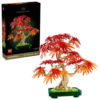 Bonsaiträd: Japansk Lönn - 10348
