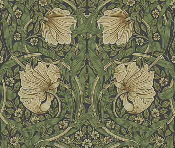 Pimpernel - 82094