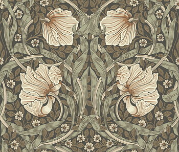 Pimpernel - 82096