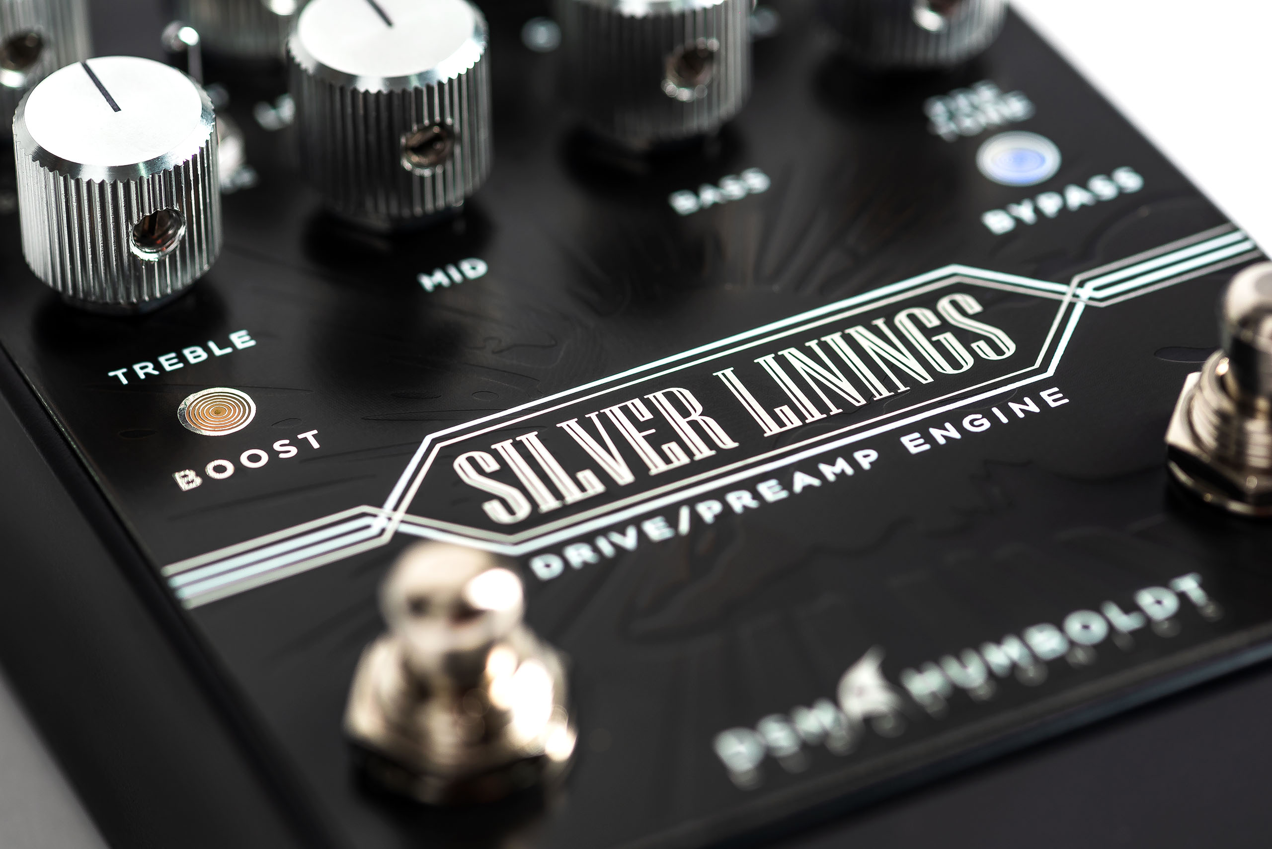 DSM & Humboldt Silver Linings - 4