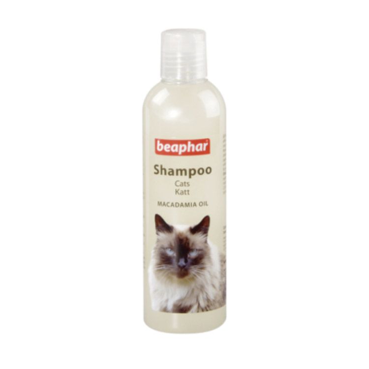Katt Schampo Macadamiaolja