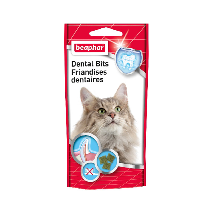 Dental Bits  35g