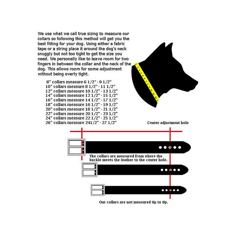 Hundhalsband Royalty - All Väder - 4