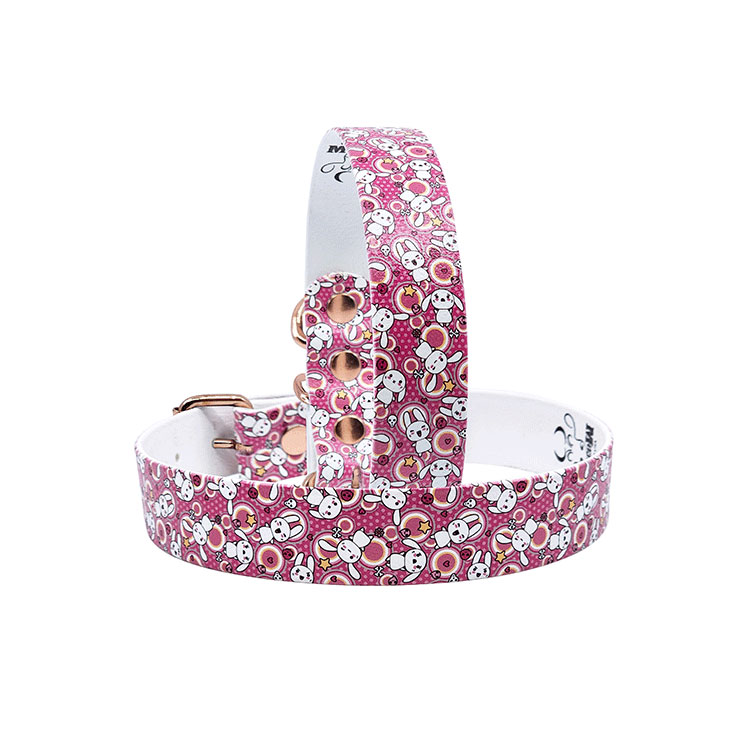 Hundhalsband Pink Rabbits - All Väder - 3