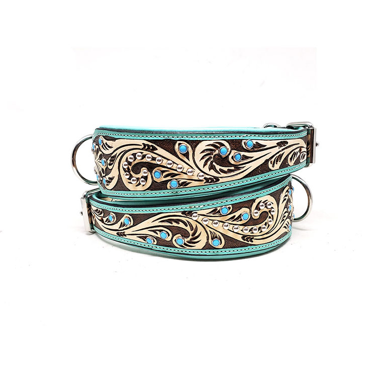 Lyxigt Hundhalsband Turkos - 2