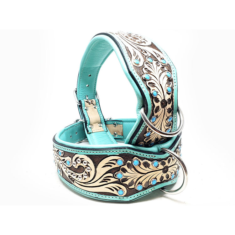 Lyxigt Hundhalsband Turkos - 3
