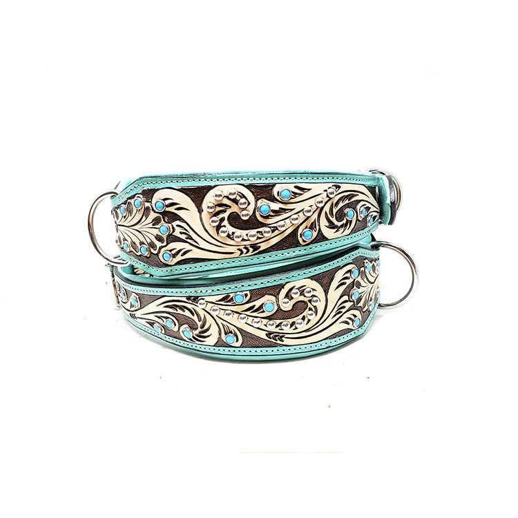 Lyxigt Hundhalsband Turkos - 6