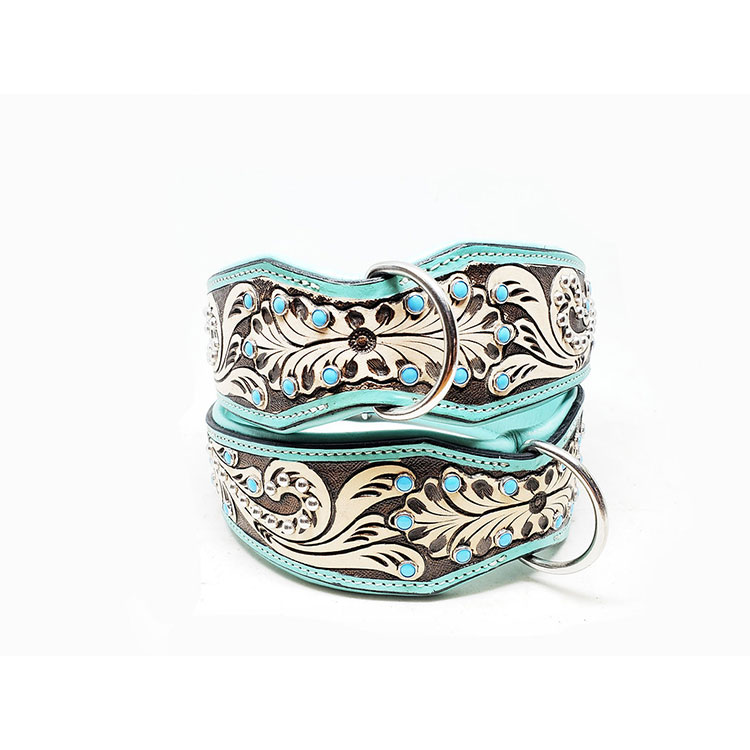 Lyxigt Hundhalsband Turkos - 5