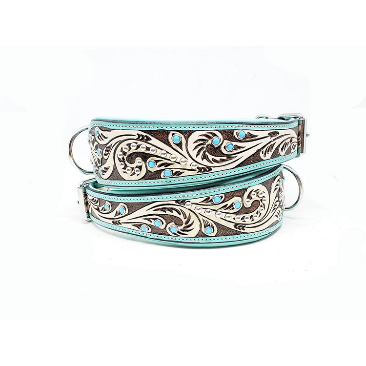 Lyxigt Hundhalsband Turkos