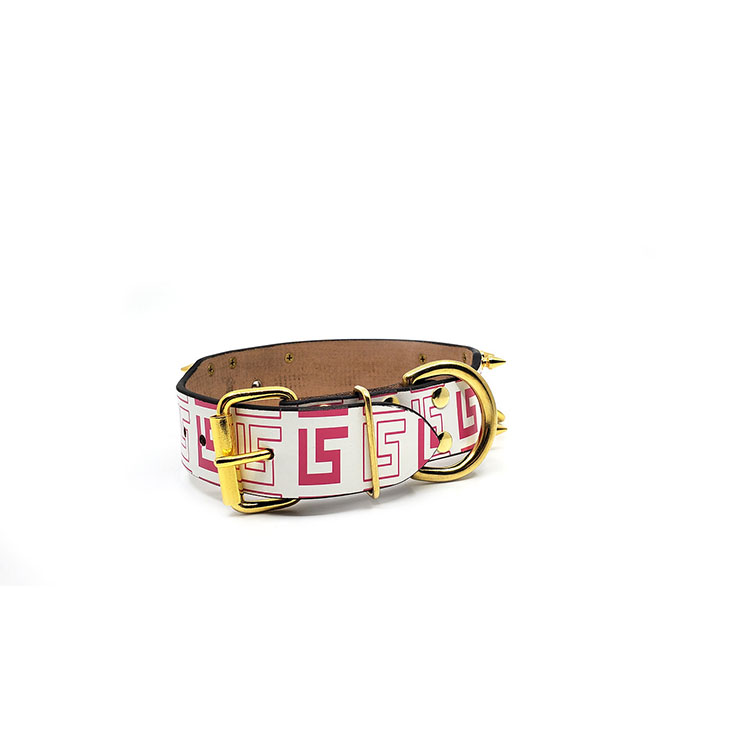 Hundhalsband Lionel - Guld & Rosa - 6