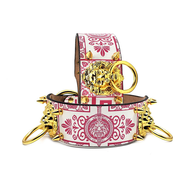 Hundhalsband Lionel - Guld & Rosa - 3