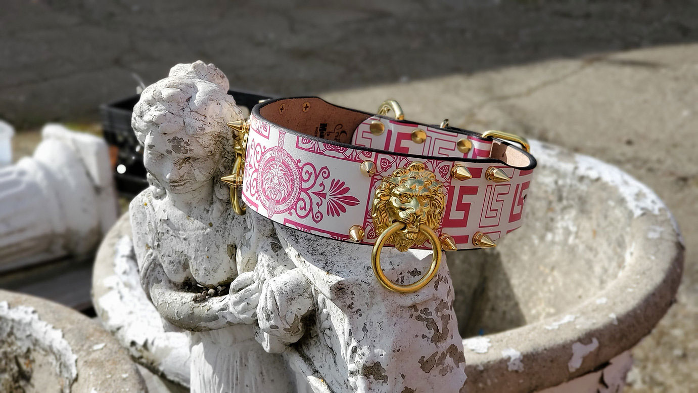 Hundhalsband Lionel - Guld & Rosa - 5