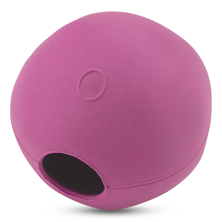 Hundleksak Ihålig Boll Beco - 4