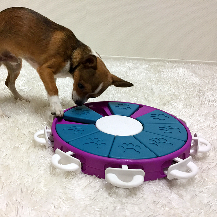 Dog Twister - Aktivitetsleksak - Nina Ottosson - 5