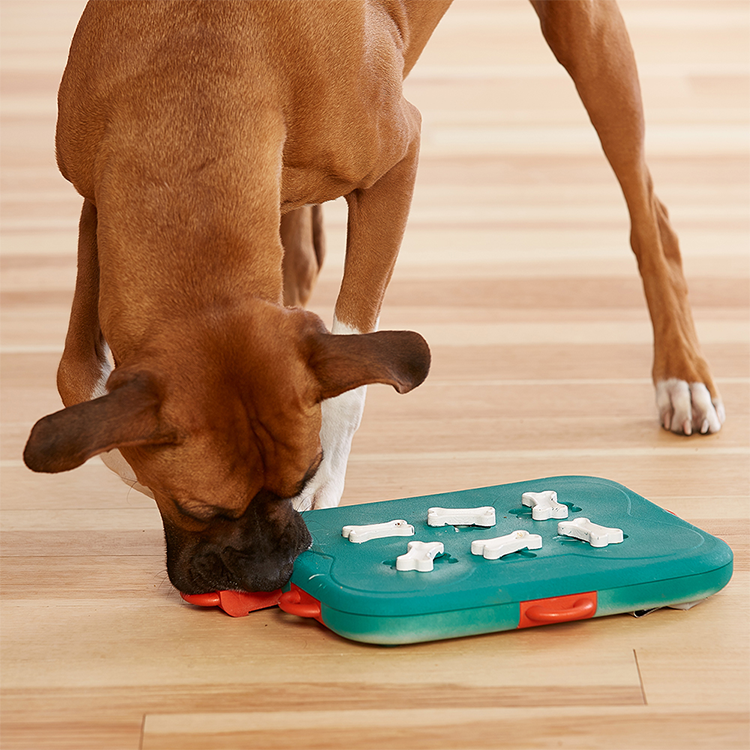Dog Casino - Aktivitetsleksak - Nina Ottosson - 5