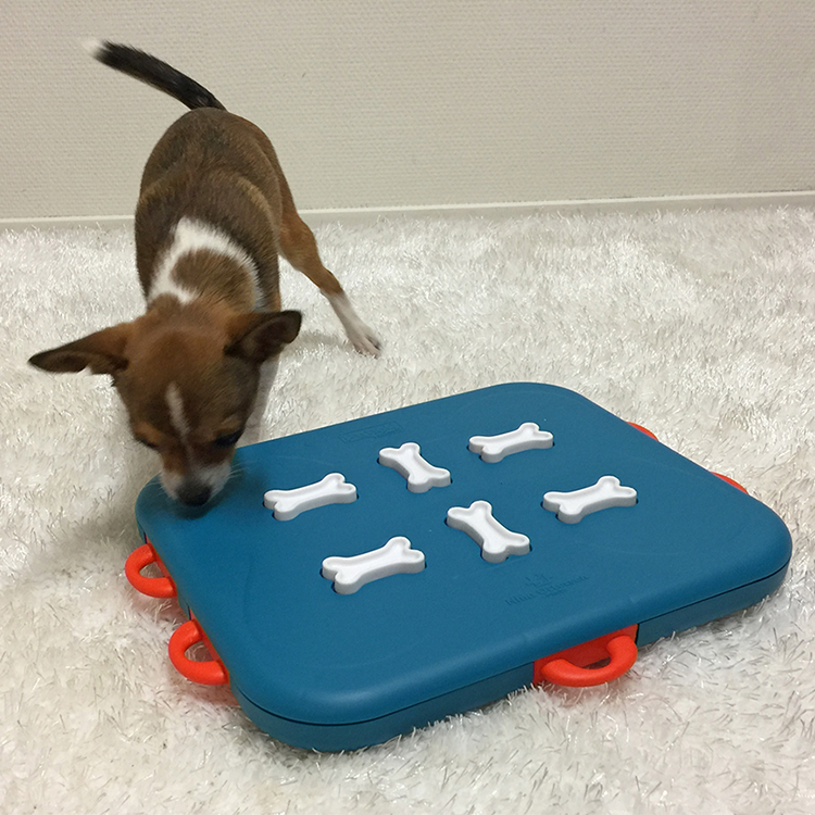 Dog Casino - Aktivitetsleksak - Nina Ottosson - 2