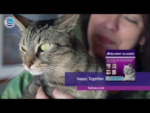 Feliway Classic Doftgivare - 2