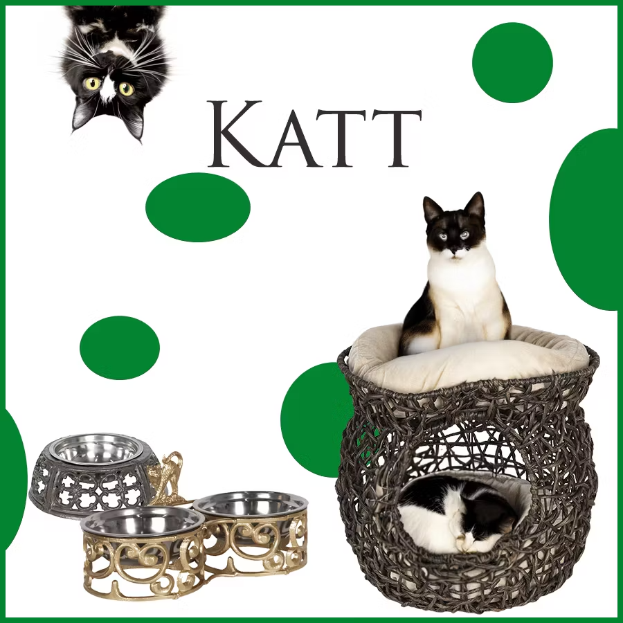 Katt  