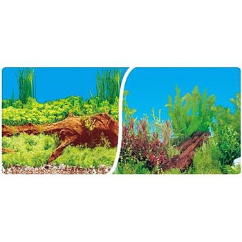 Bakgrund 60 cm X  15M 