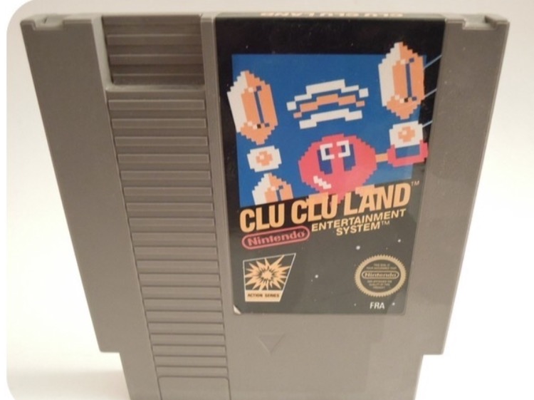 Clu clu land - NES