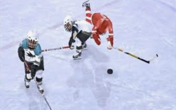 NHL Slapshot - Wii - 2