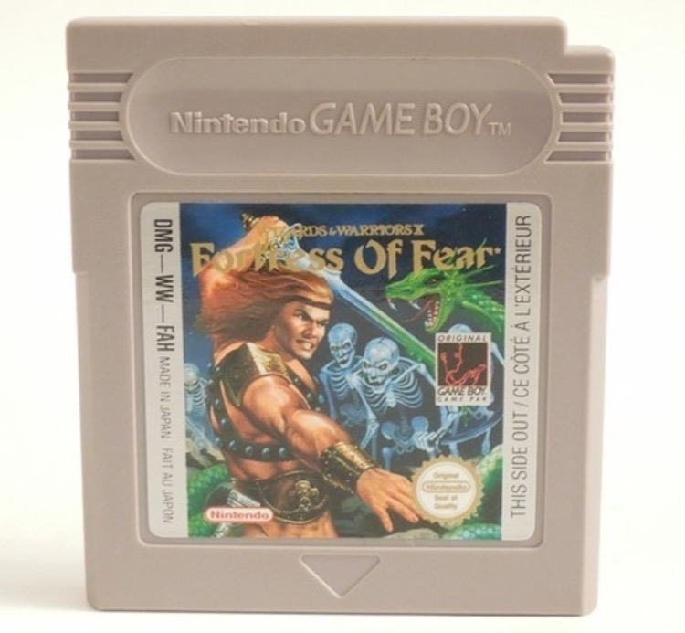 Wizards & Warriors X - Fortress of Fear -GB