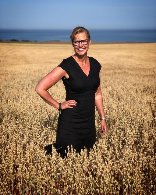 Avelsås Black linen dress