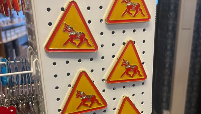 Fridge magnet - "Beware of the Dala horse"