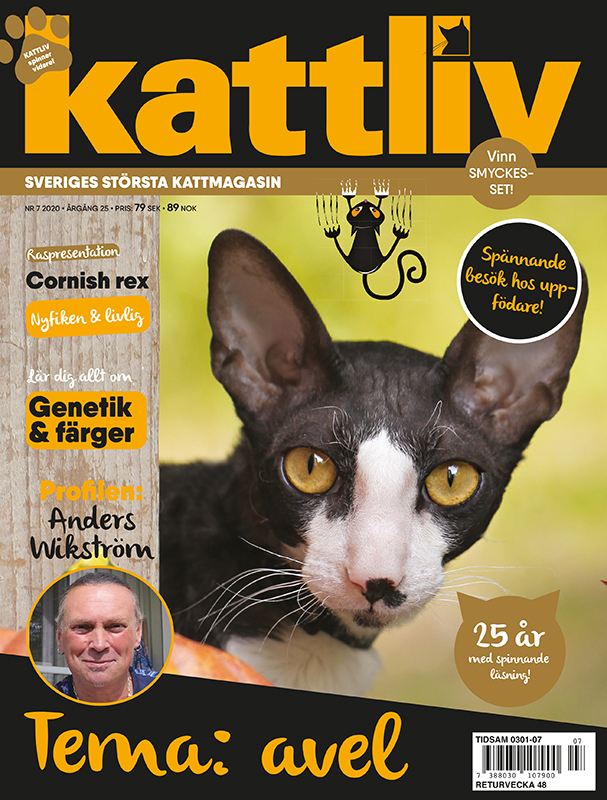 Lösnummer 7/2020