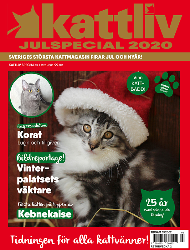 Julspecial 2020