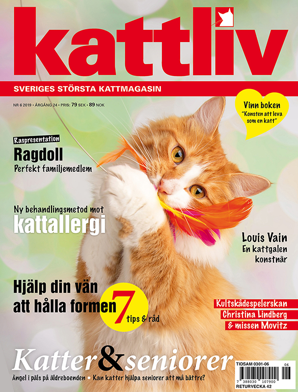 Lösnummer 6/2019