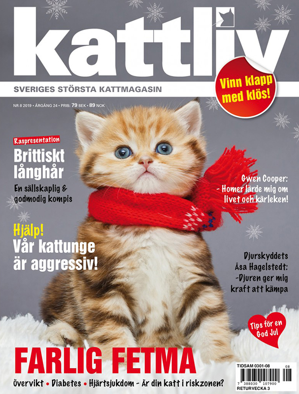 Lösnummer 8/2019