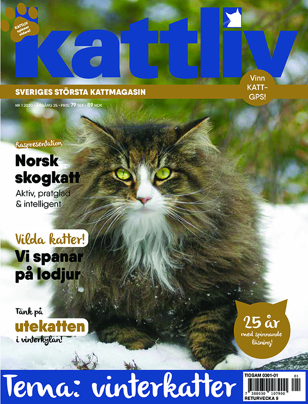 Lösnummer 1/2020
