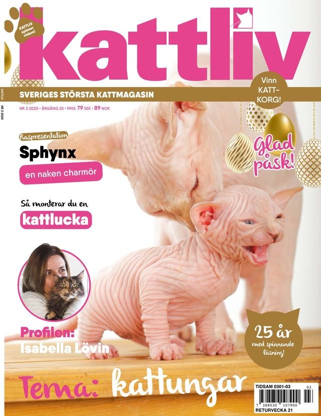 Lösnummer 3/2020