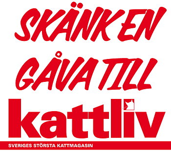 Gåva till Kattliv 1000kr