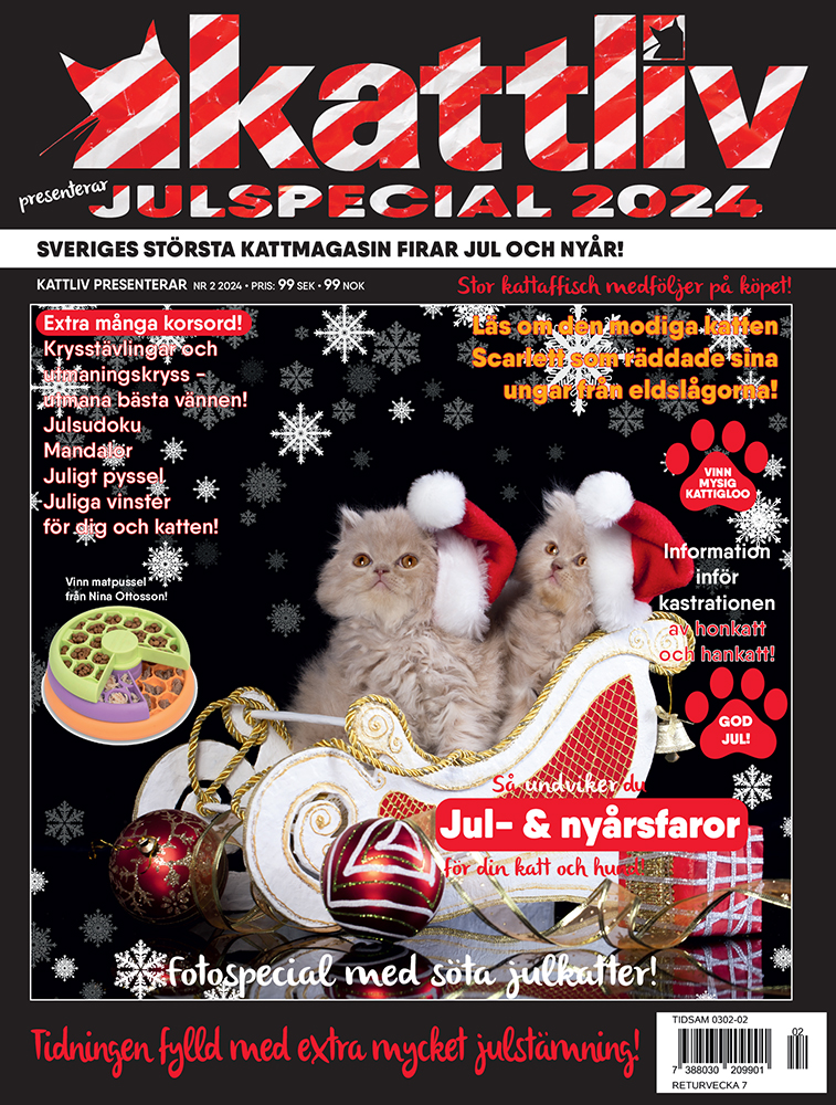 Julspecial 2024
