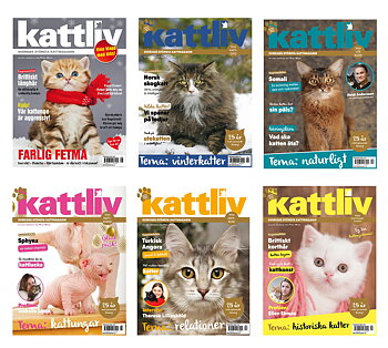 Gåvoprenumeration helår 6 nr Sverige